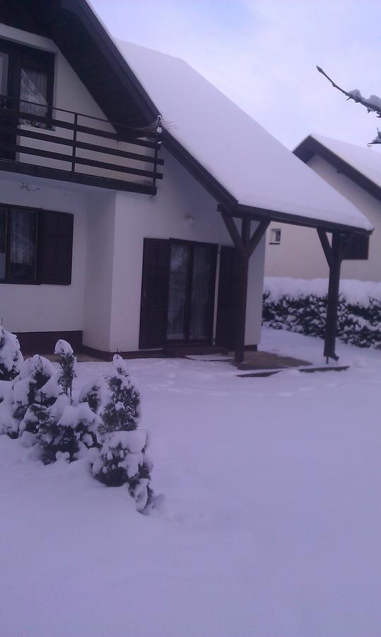 Vila Borovic Zlatibor Exterior photo