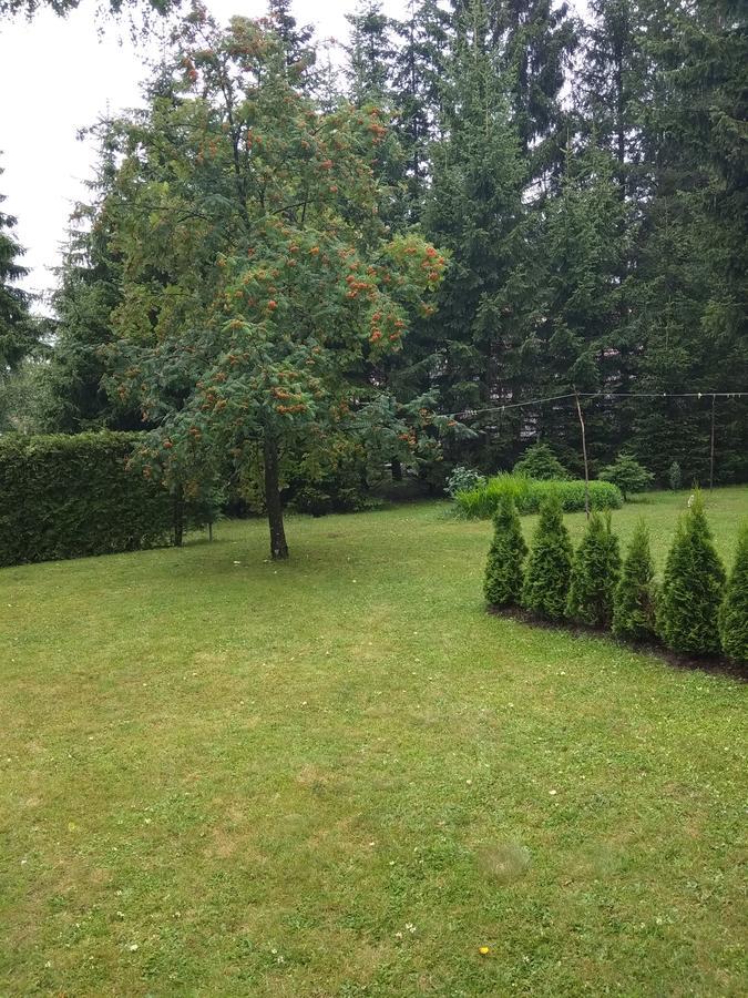 Vila Borovic Zlatibor Exterior photo